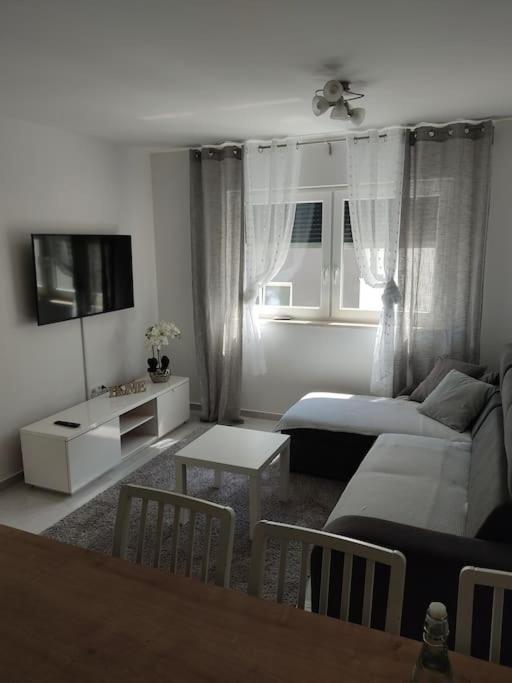 Apartman Branislava