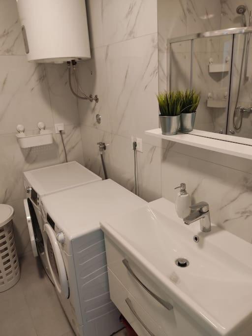 Apartman Branislava *